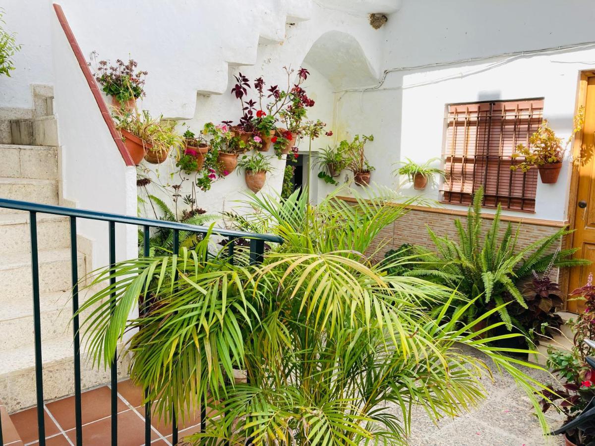 Apartamento Conil Centro Conil De La Frontera Zewnętrze zdjęcie
